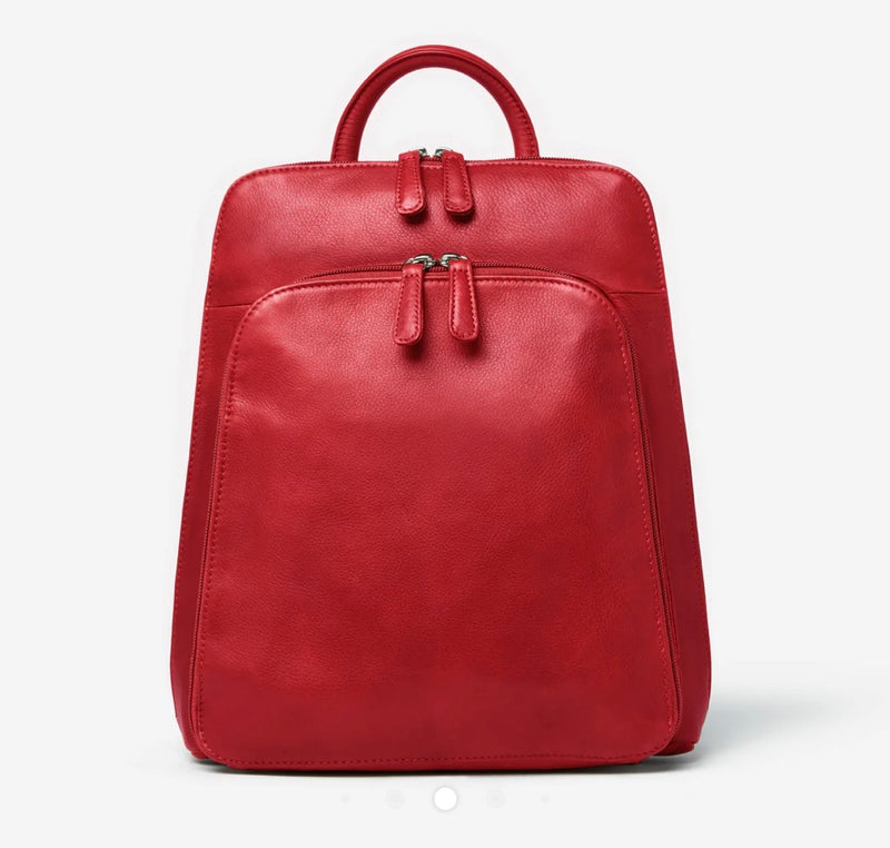 RFID Large Organizer Backpack